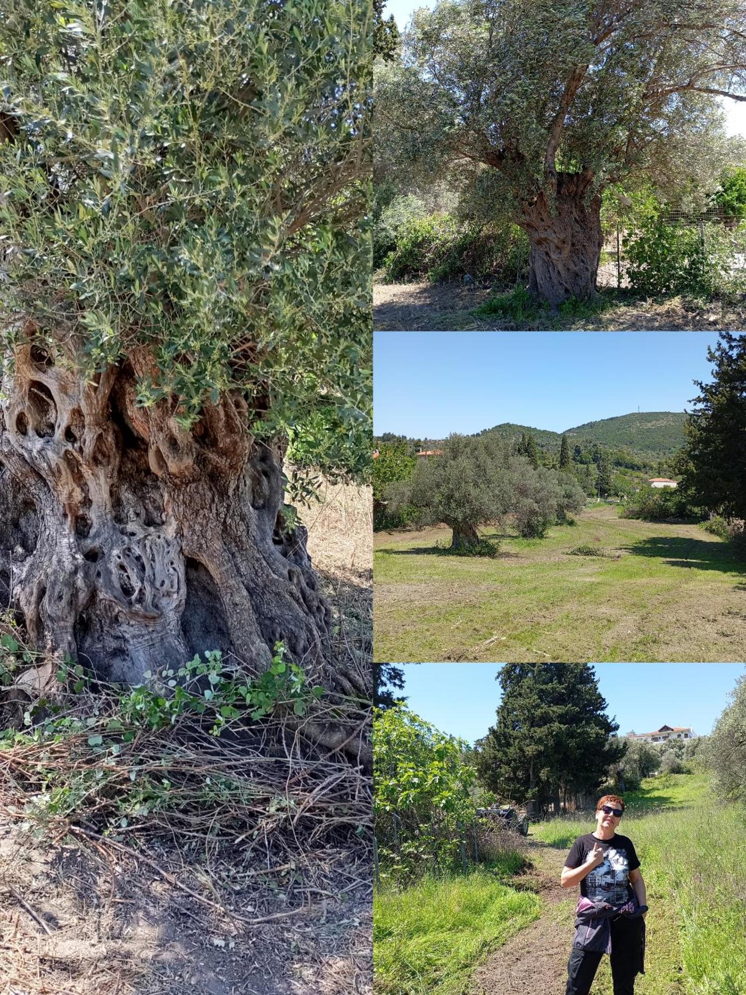 La Nature Konistres Dış mekan fotoğraf