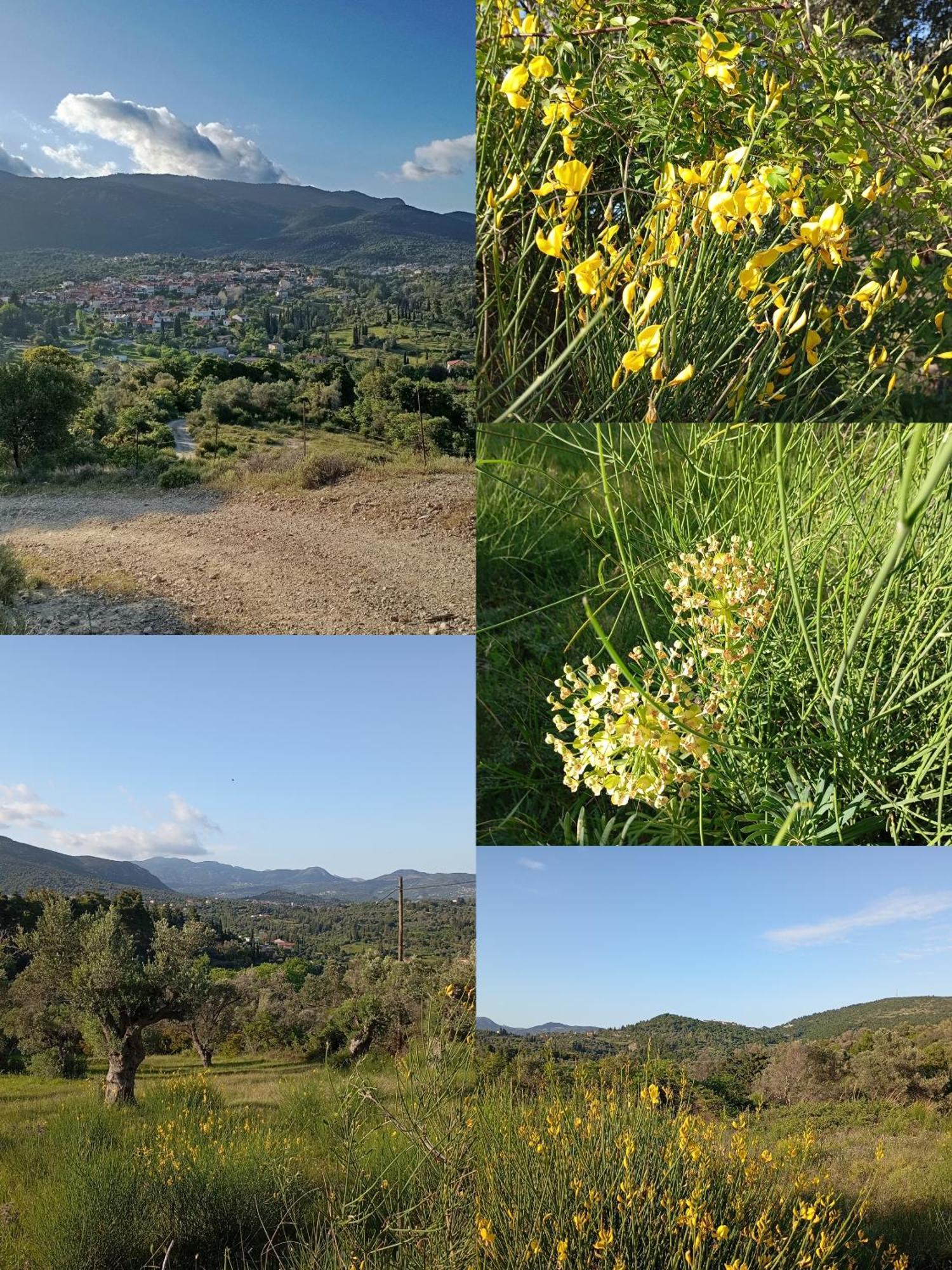 La Nature Konistres Dış mekan fotoğraf